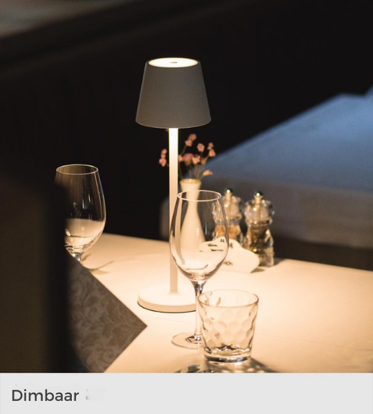 Auralite™ | Chic Wireless Dimmable Table Lamp