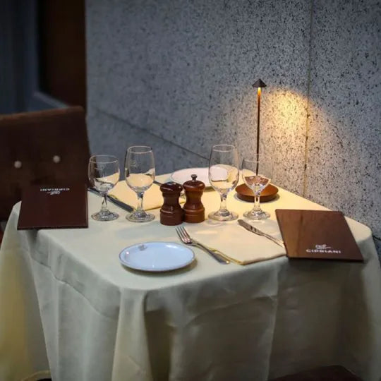 Dioro™ | Cordless LED Table Lamp