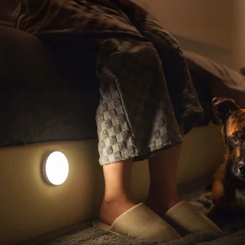 Juno™ I Motion-Sensing Wireless Lamp